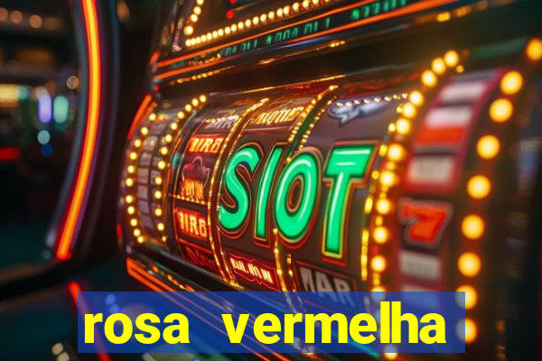 rosa vermelha (letra e cifra)