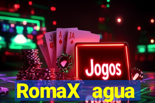 RomaX agua sanitaria fispq agua sanitaria romax