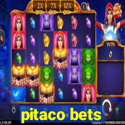 pitaco bets